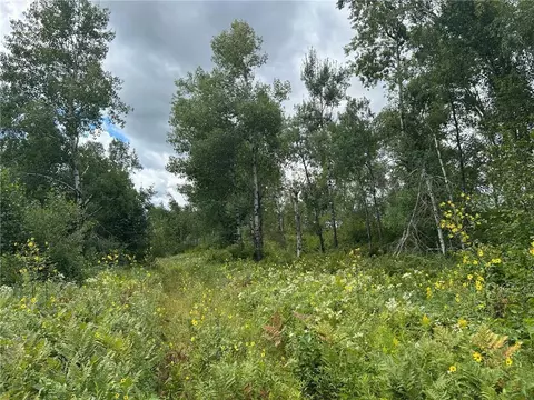 tbd 2 Duncan Rd, Sandstone, MN 55072 photo 11
