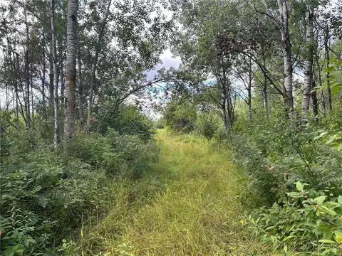 tbd 2 Duncan Rd, Sandstone, MN 55072