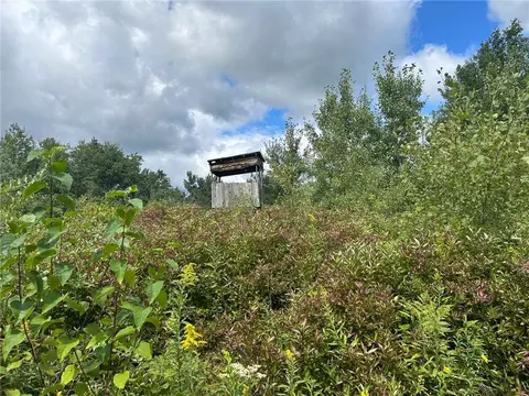 tbd 2 Duncan Rd, Sandstone, MN 55072 photo 2