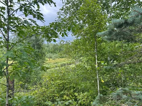 tbd 2 Duncan Rd, Sandstone, MN 55072 photo 13