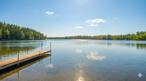 53549 Little Bear Trl, Bigfork, MN 56657