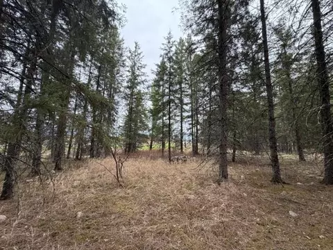 tbd 5th Tbd 5th St SE, Cook, MN 55723 photo 13