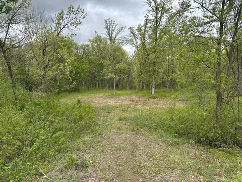 tbd NW 301st Ave, Princeton, MN 55371
