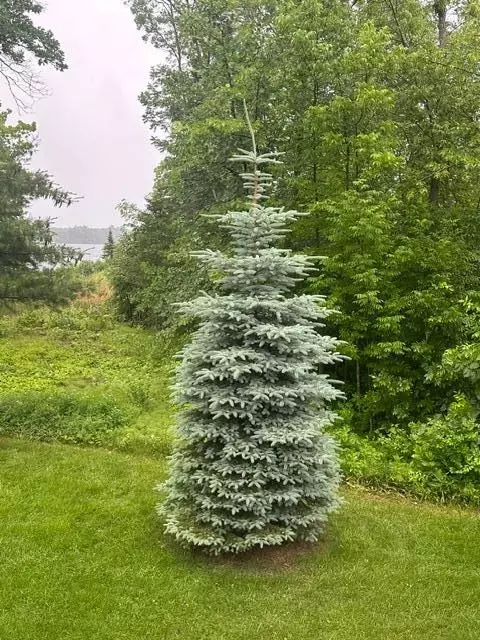 Other - 940 Maple Crest Dr NW, Hackensack, MN 56452 photo 5 of 11