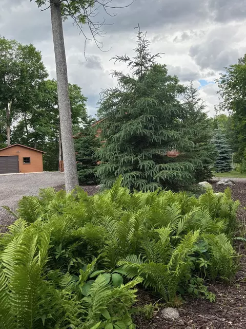 Exterior - 940 Maple Crest Dr NW, Hackensack, MN 56452 photo 3 of 10