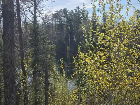 tbd S Thunder Lake Dr NE, Remer, MN 56672