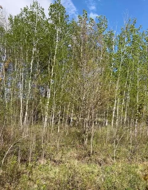 tbd 100 Ave, Milaca, MN 56353 photo 6