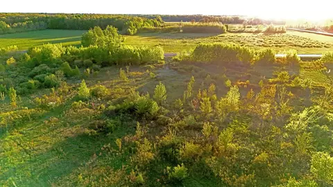 tbd 100 Ave, Milaca, MN 56353 photo 15