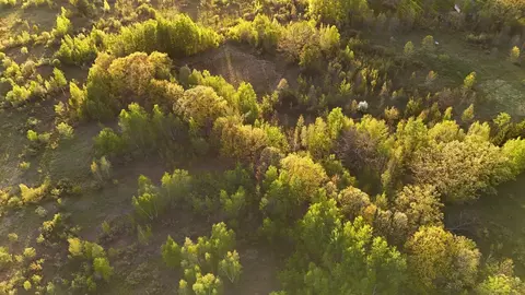 tbd 100 Ave, Milaca, MN 56353 photo 11