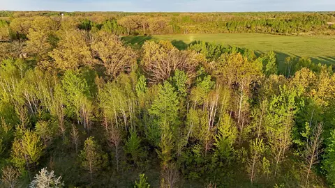 tbd 100 Ave, Milaca, MN 56353 photo 14