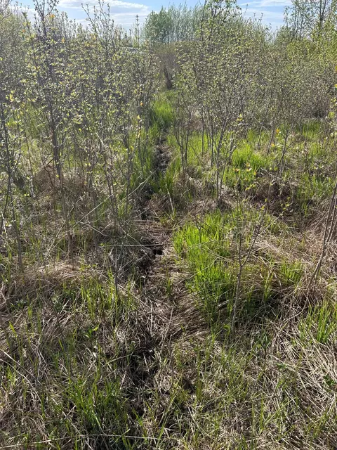tbd 100 Ave, Milaca, MN 56353 photo 13