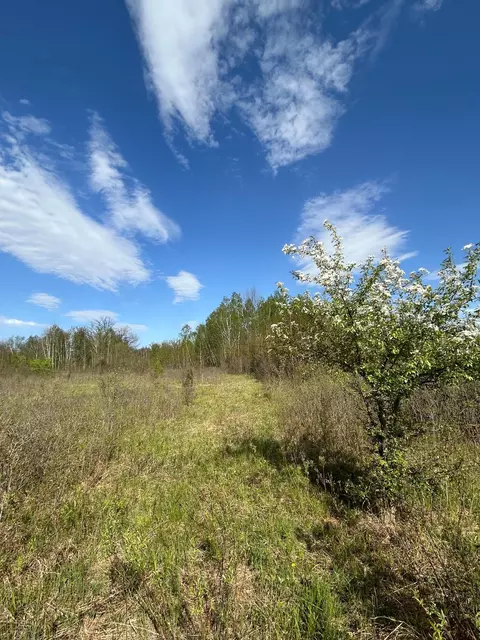 tbd 100 Ave, Milaca, MN 56353 photo 7