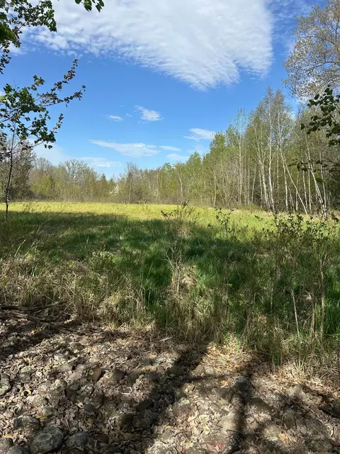 tbd 100 Ave, Milaca, MN 56353 photo 9