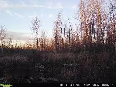 Nnn Fleming Logging Road, Hinckley, MN 55037