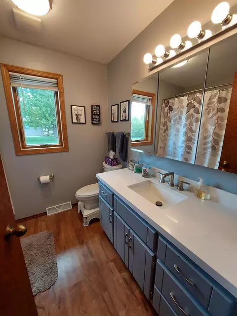 Bath - 409 Sundown Dr, Avon, MN 56310 photo 1 of 3