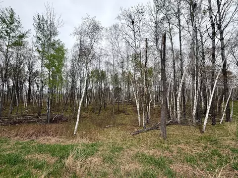 L17b1 Acorn Ridge Road Nw, Bemidji, MN 56601