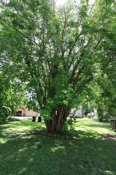 Exterior - 10 E 4th St, Morris, MN 56267 photo 3 of 8