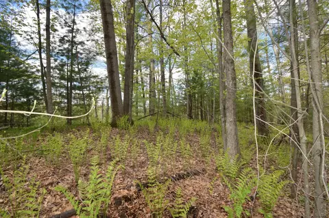 25383 Mansfield Rd, Webster, WI 54893 photo 10