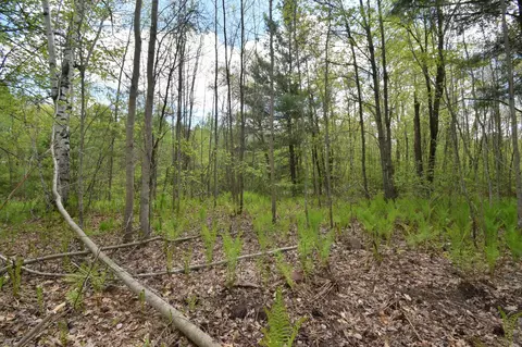 25383 Mansfield Rd, Webster, WI 54893 photo 12