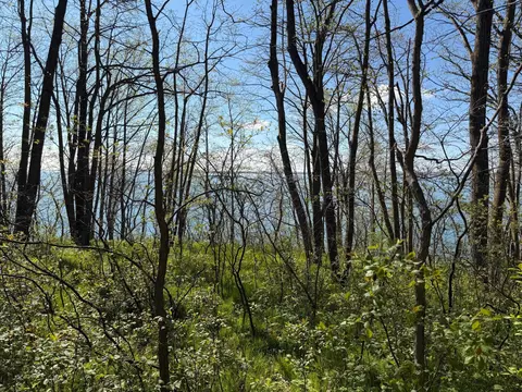 tbd Pine Point Dr, Walker, MN 56484 photo 11