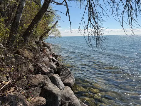 tbd Pine Point Dr, Walker, MN 56484 photo 6