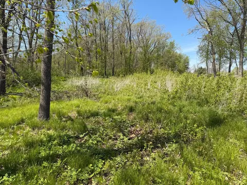 tbd Pine Point Dr, Walker, MN 56484 photo 26