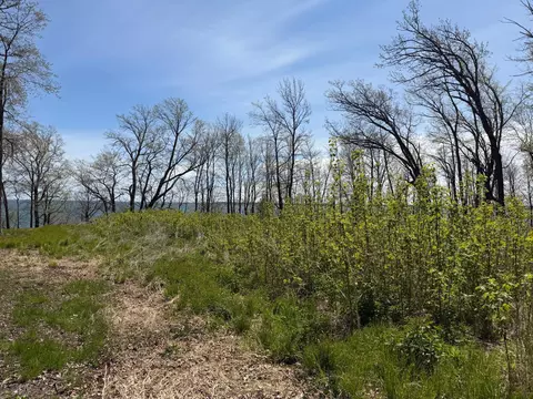 tbd Pine Point Dr, Walker, MN 56484 photo 27