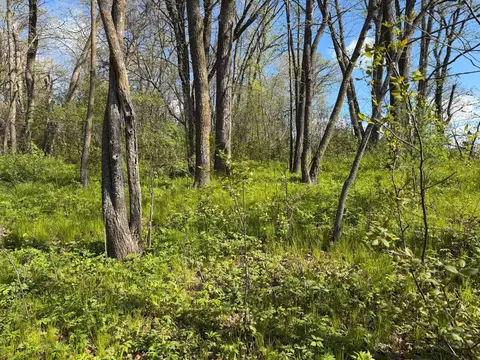 tbd Pine Point Dr, Walker, MN 56484 photo 15