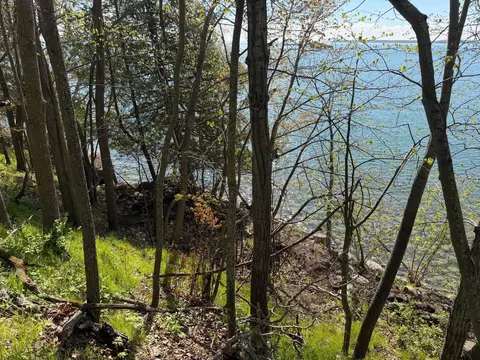 tbd Pine Point Dr, Walker, MN 56484 photo 16