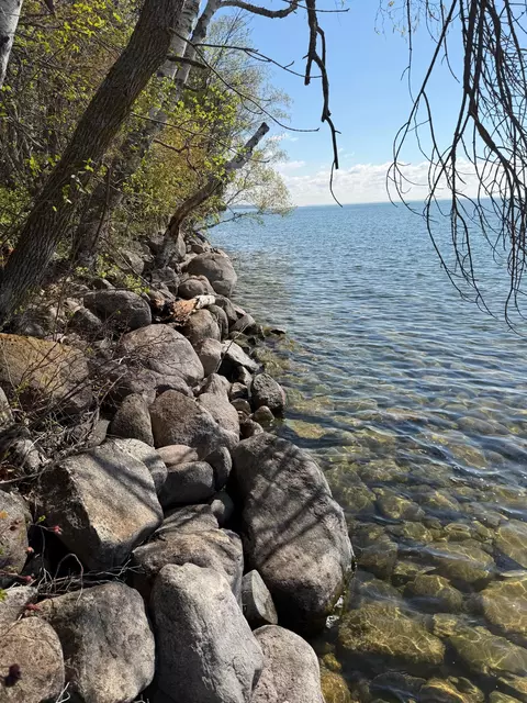 tbd Pine Point Dr, Walker, MN 56484 photo 8