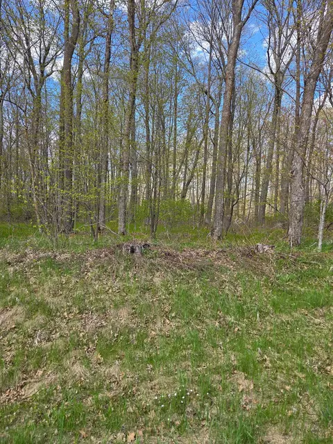 tbd Nicholas St, Grand Rapids, MN 55744