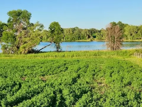 Nnnn Co-rd 108 Nw, Brandon, MN 56315