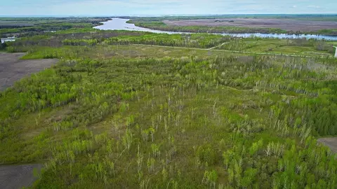 tbd State Hwy 172 Clf, Baudette, MN 56623