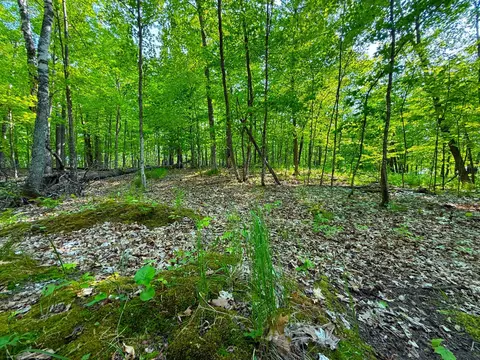 0 182nd Ave, Mcgregor, MN 55760 photo 3