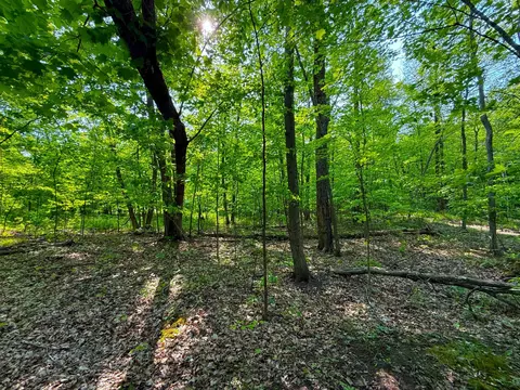 0 182nd Ave, Mcgregor, MN 55760 photo 10
