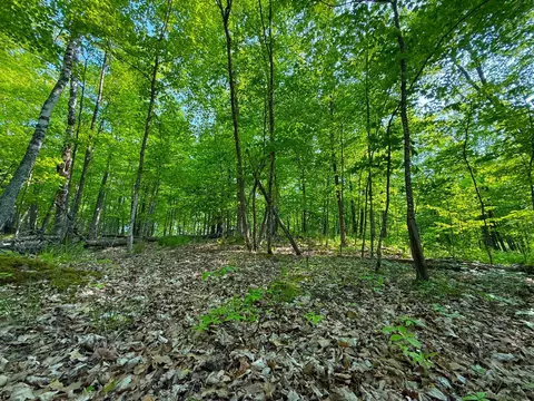 0 182nd Ave, Mcgregor, MN 55760 photo 11