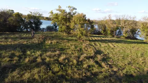 View/Area - 42961 165th St, Clitherall, MN 56524 photo 16 of 22