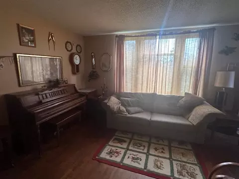 Living - 42961 165th St, Clitherall, MN 56524 photo 1 of 2