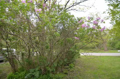 Other - 340 River Dr W, Milaca, MN 56353 photo 2 of 2