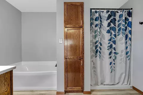 Bath - 32878 Spunk Tree Cir, Avon, MN 56310 photo 1 of 4