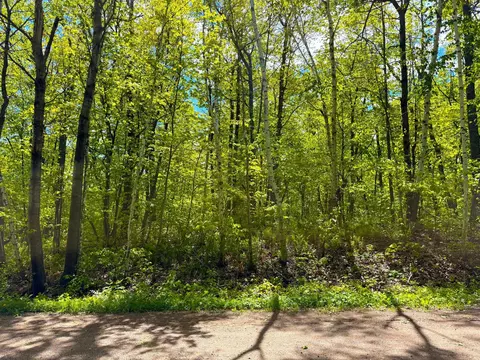 0 469th St, Garrison, MN 56450 photo 5