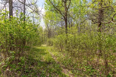 tbd Stephani Rd NW, Puposky, MN 56667