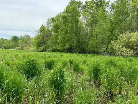1065 105th Ave, Milaca, MN 56353 photo 23
