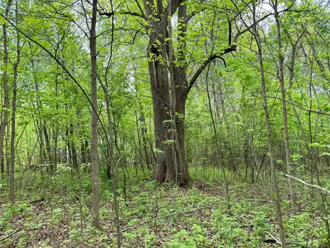 1065 105th Ave, Milaca, MN 56353 photo 13