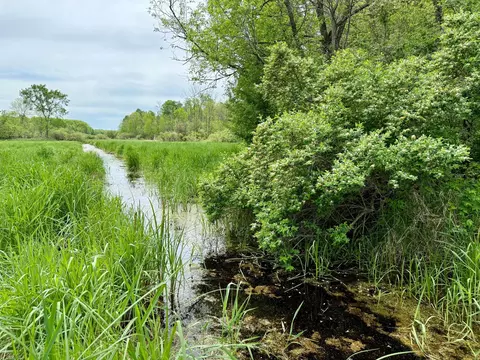 1065 105th Ave, Milaca, MN 56353 photo 11