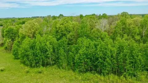 1065 105th Ave, Milaca, MN 56353 photo 31