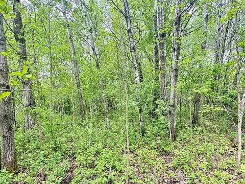 1065 105th Ave, Milaca, MN 56353 photo 24