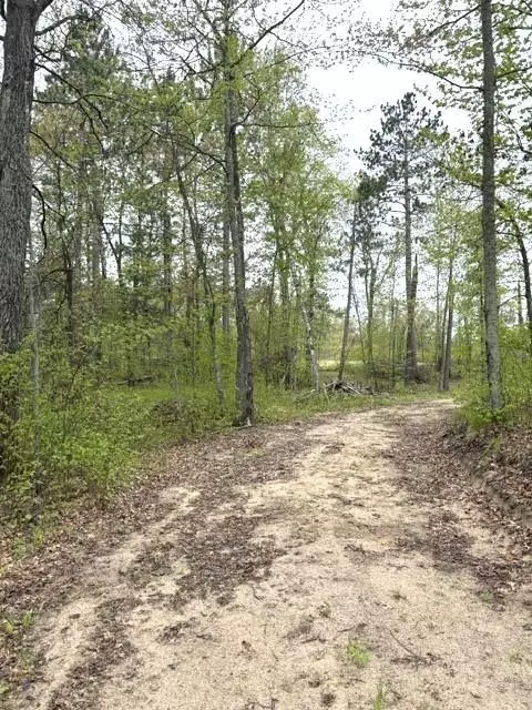 22132 Buckhorn Trl, Merrifield, MN 56465