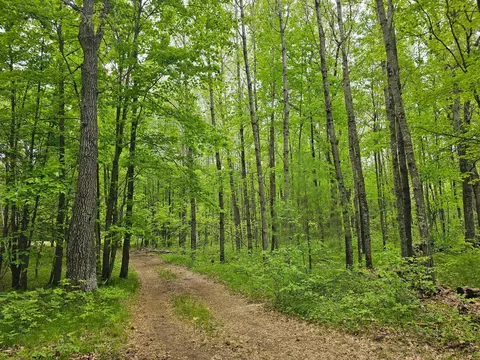 25227 Kruger Rd, Webster, WI 54893 photo 6