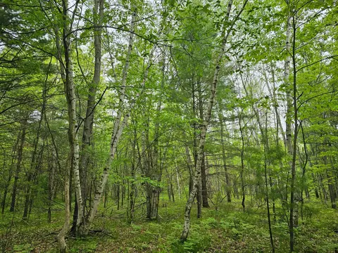 25227 Kruger Rd, Webster, WI 54893 photo 13